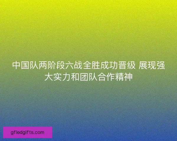 中国队两阶段六战全胜成功晋级 展现强大实力和团队合作精神