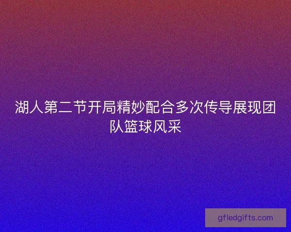 湖人第二节开局精妙配合多次传导展现团队篮球风采